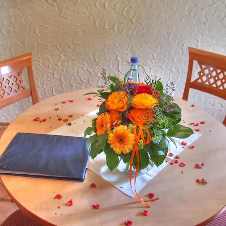 Hotel Vogel Appartement&spa Rostock
