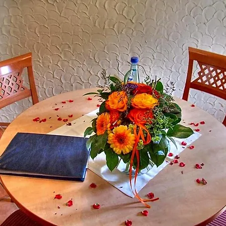 Hotel Vogel Appartement&spa